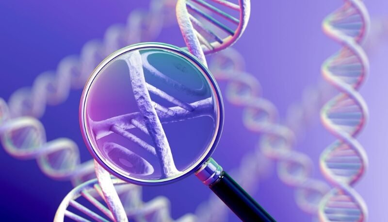 Navigating Genetic Counseling for Hereditary Cancer Risks