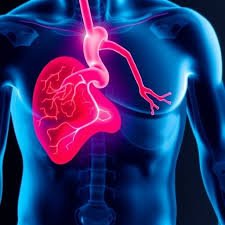 Understanding the Impact of Hypertension on Heart Health