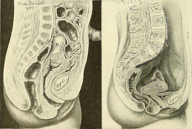 What Does Gynecology Cover Throughout Every Stage of Life