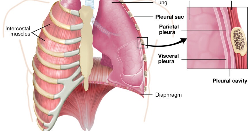 What You Should Know About Chest Pain in Different Age Groups