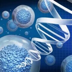 Stem Cell Therapy for Sports Injuries