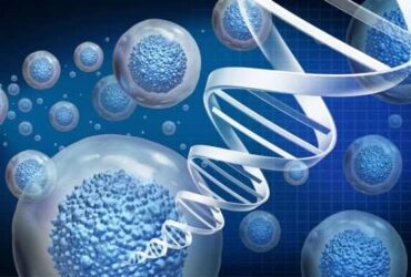 Stem Cell Therapy for Sports Injuries