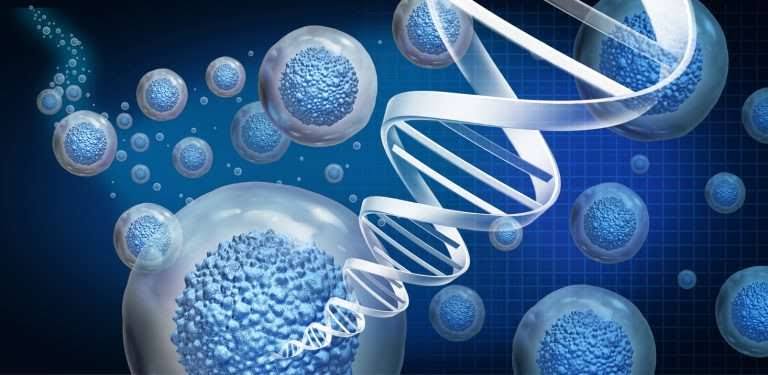 Stem Cell Therapy for Sports Injuries